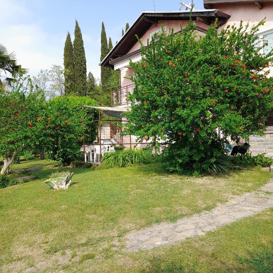 Apartma Mari Apartman Lucija Kültér fotó