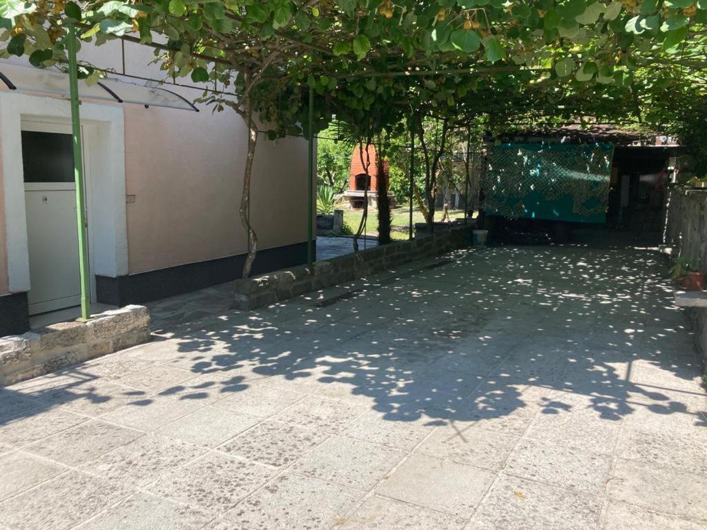 Apartma Mari Apartman Lucija Kültér fotó